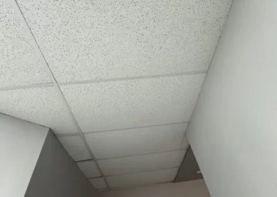 Home Improvement Contractors (4)